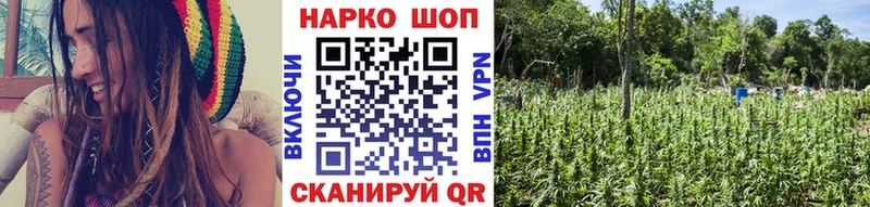 Галлюциногенные грибы Калачинск
