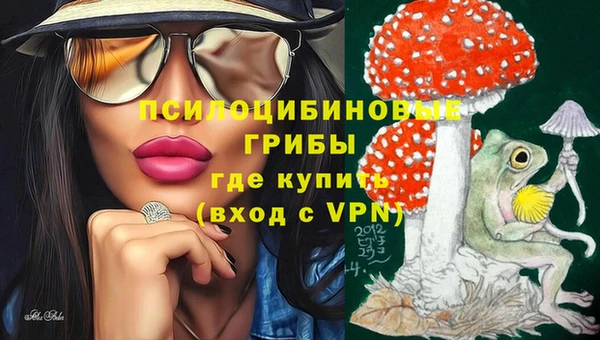 гашик Абдулино