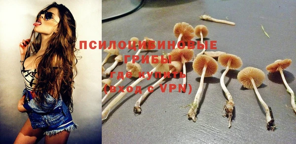 гашик Абдулино