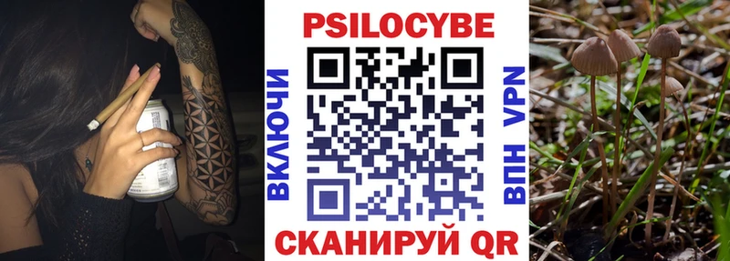 Псилоцибиновые грибы GOLDEN TEACHER сколько стоит Калачинск